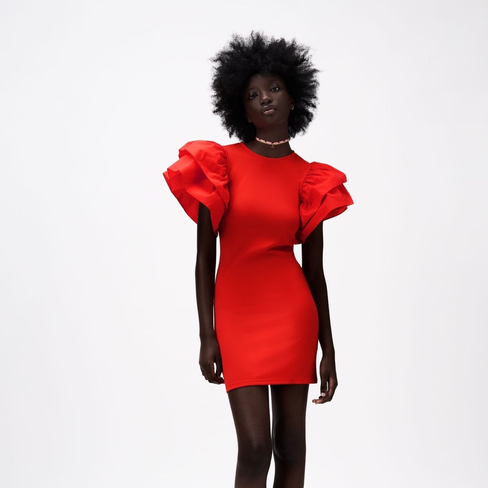 RED ZARA Dress NWT